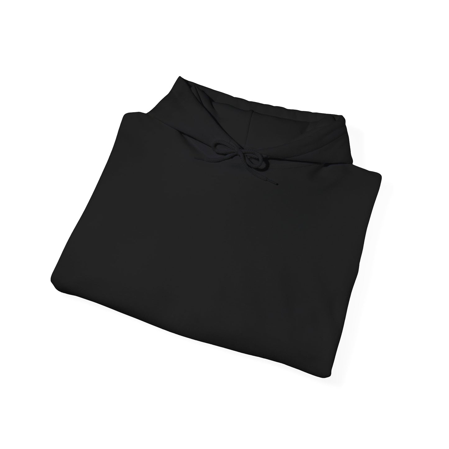 F1 Drivers Can't Parallel Park Hoodie